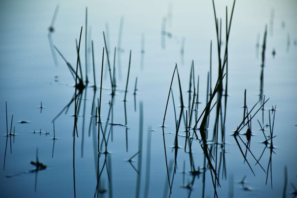 Schaduw Letter per letter